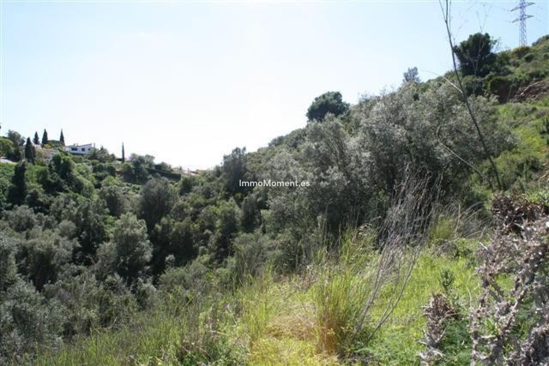 Construction neuve - Terrain - Marbella - El Rosario