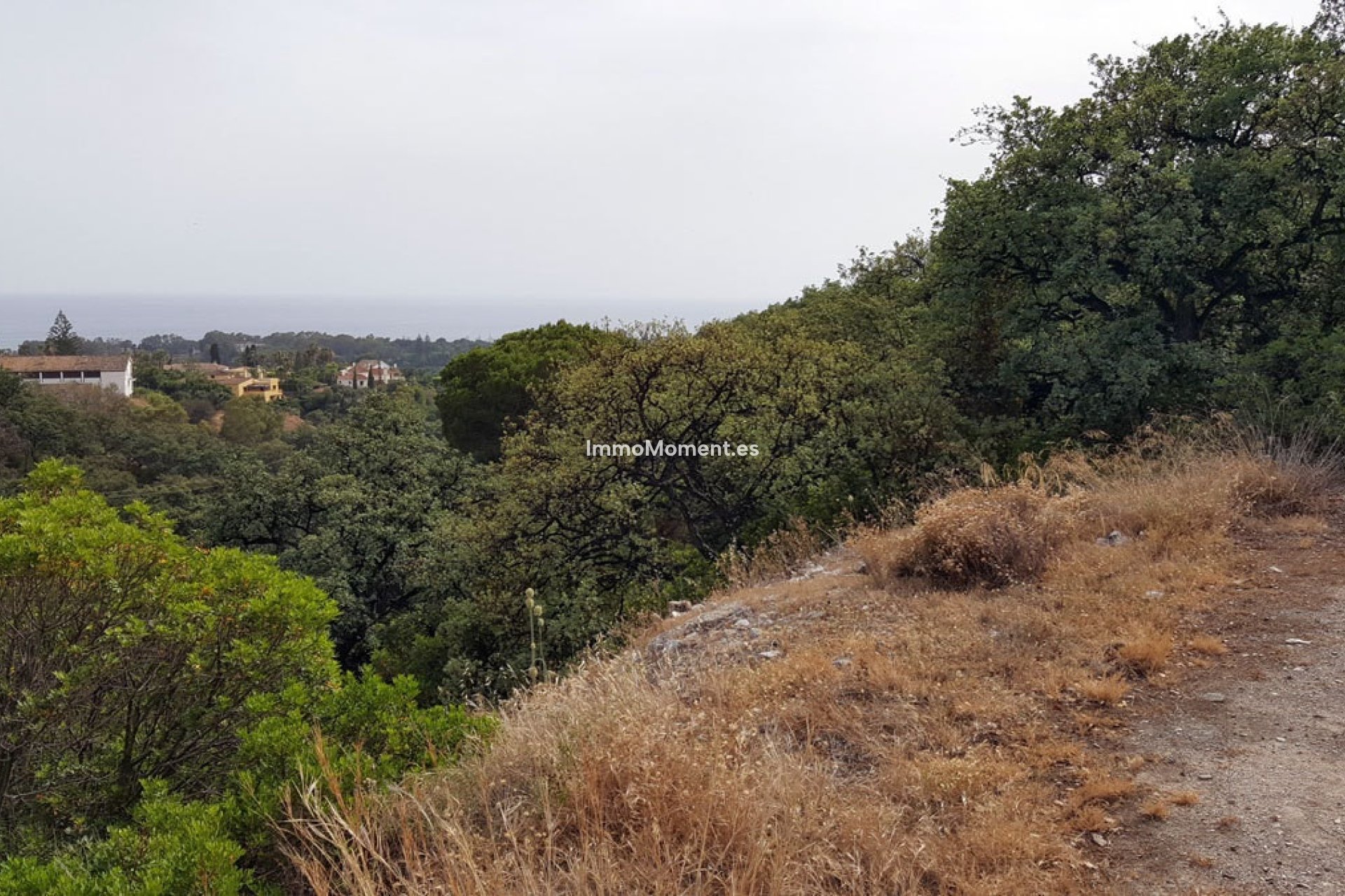 Construction neuve - Terrain - Marbella - Elviria