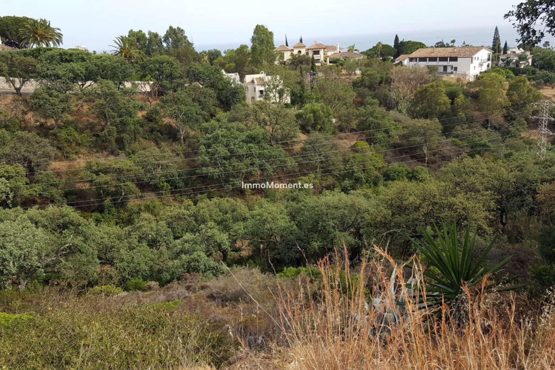Construction neuve - Terrain - Marbella - Elviria