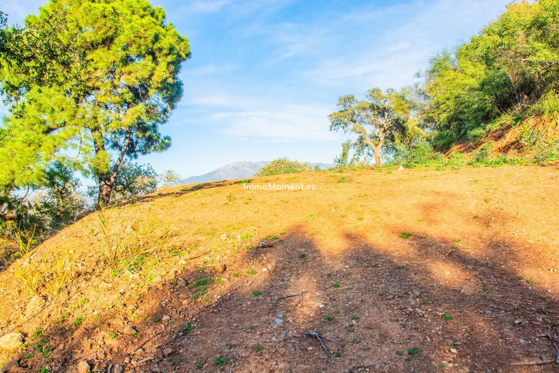 Construction neuve - Terrain - Marbella - La Mairena