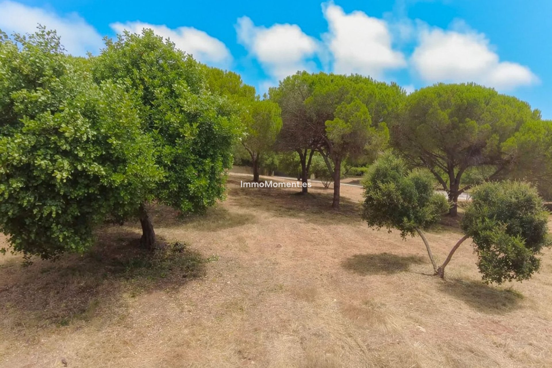 Construction neuve - Terrain - Sotogrande - Sotogrande Alto