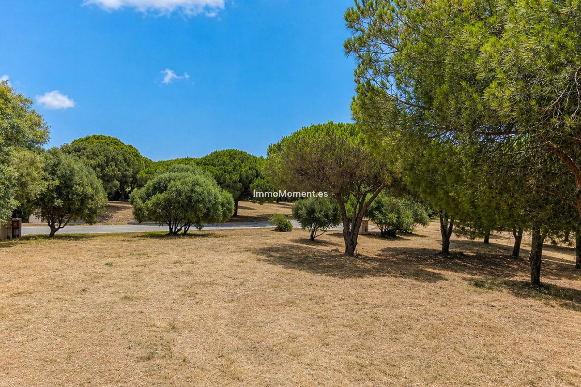 Construction neuve - Terrain - Sotogrande - Sotogrande Alto