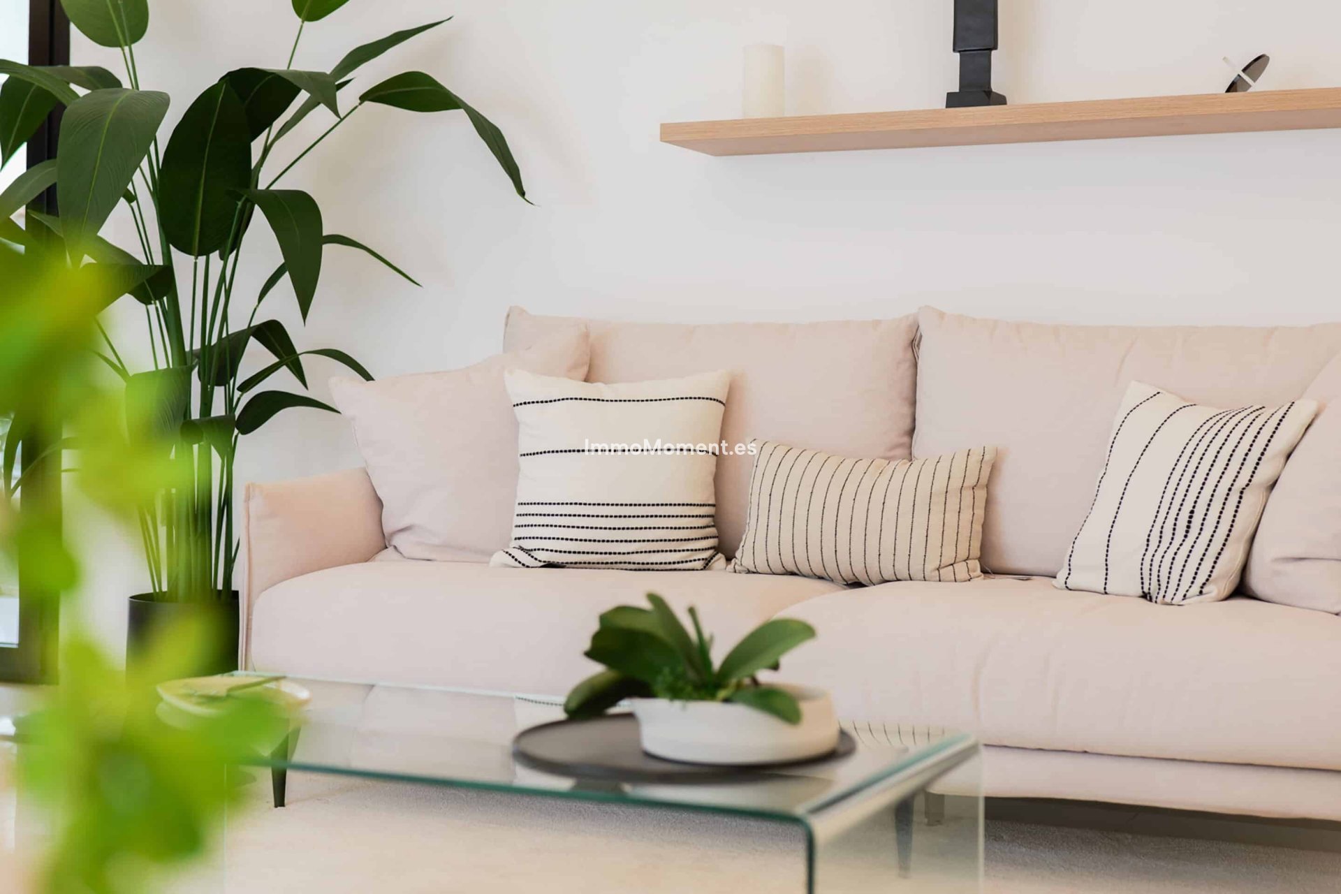 Construction neuve - Villa individuelle - Ciudad Quesada