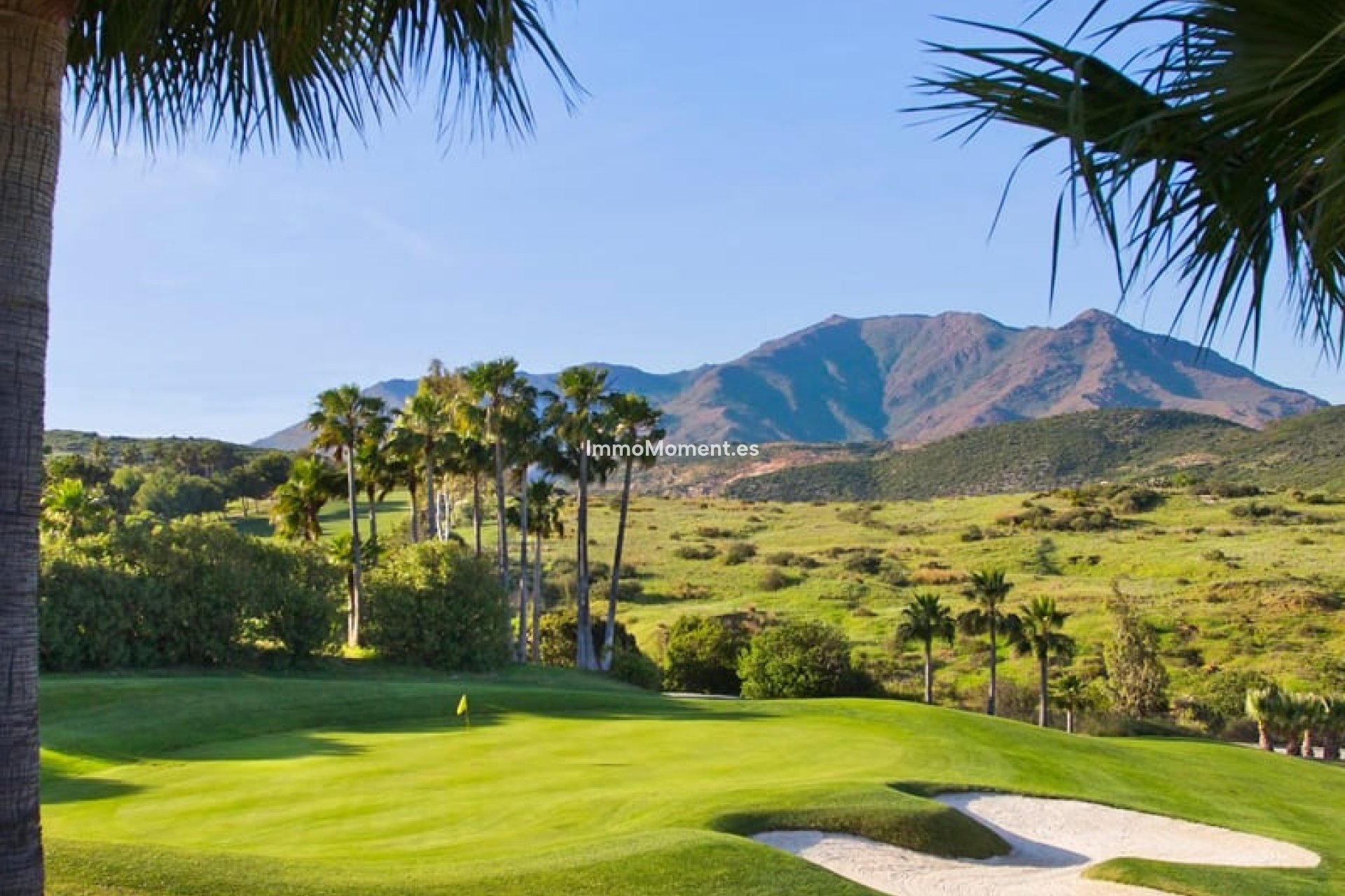 Construction neuve - Villa individuelle - Estepona  - Estepona