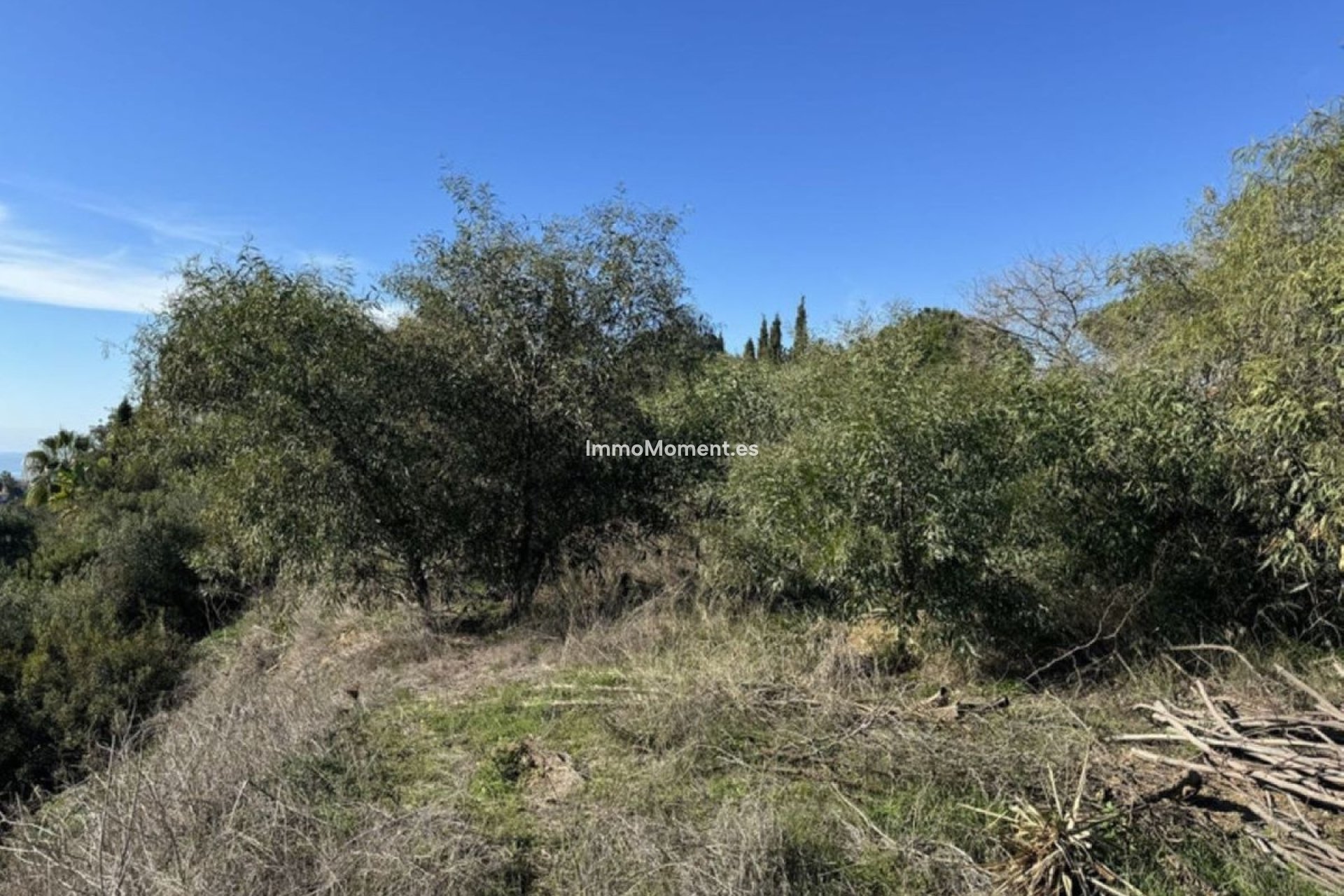 Construction neuve - Villa individuelle - Marbella - Elviria