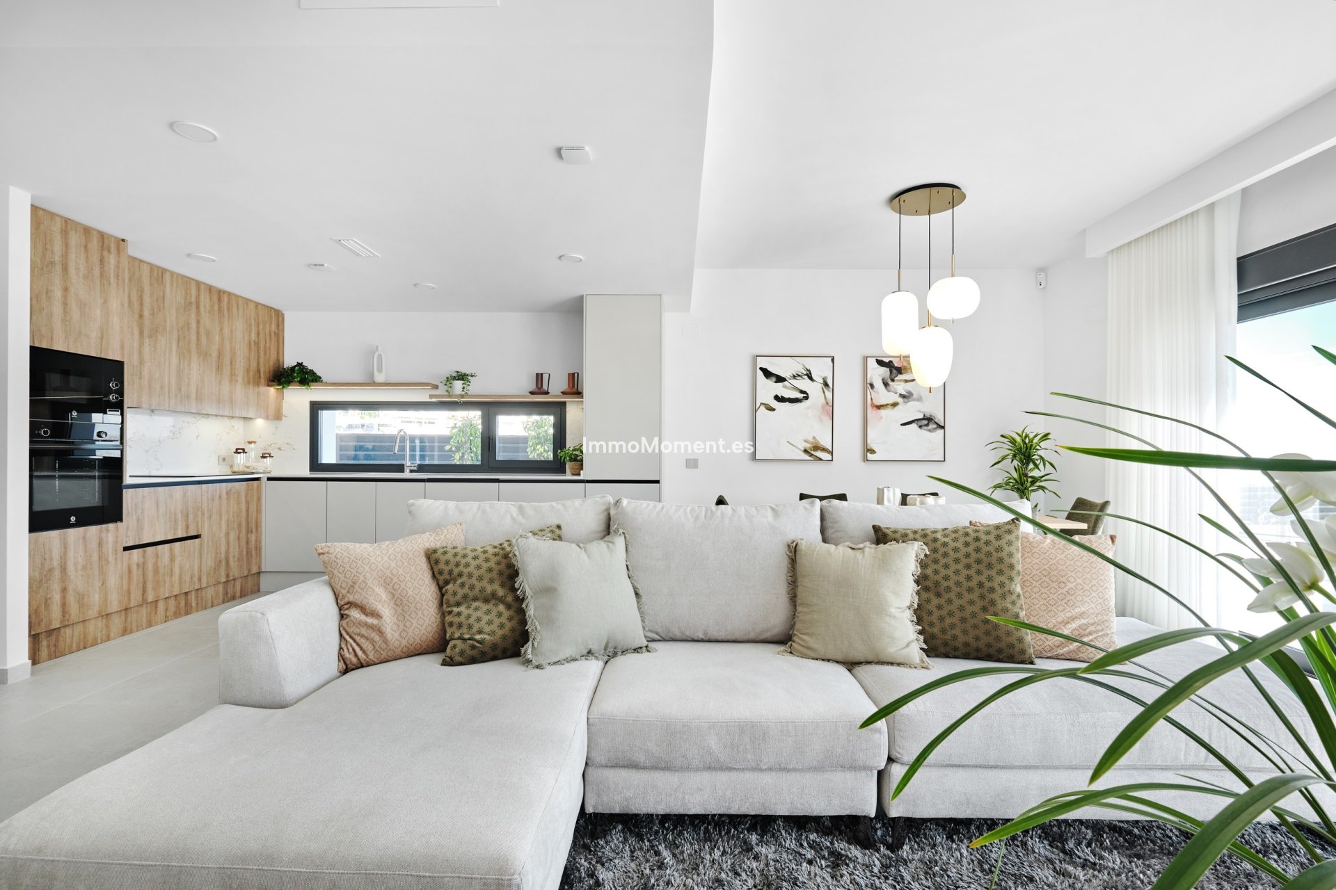 Construction neuve - Villa individuelle - San Miguel de Salinas