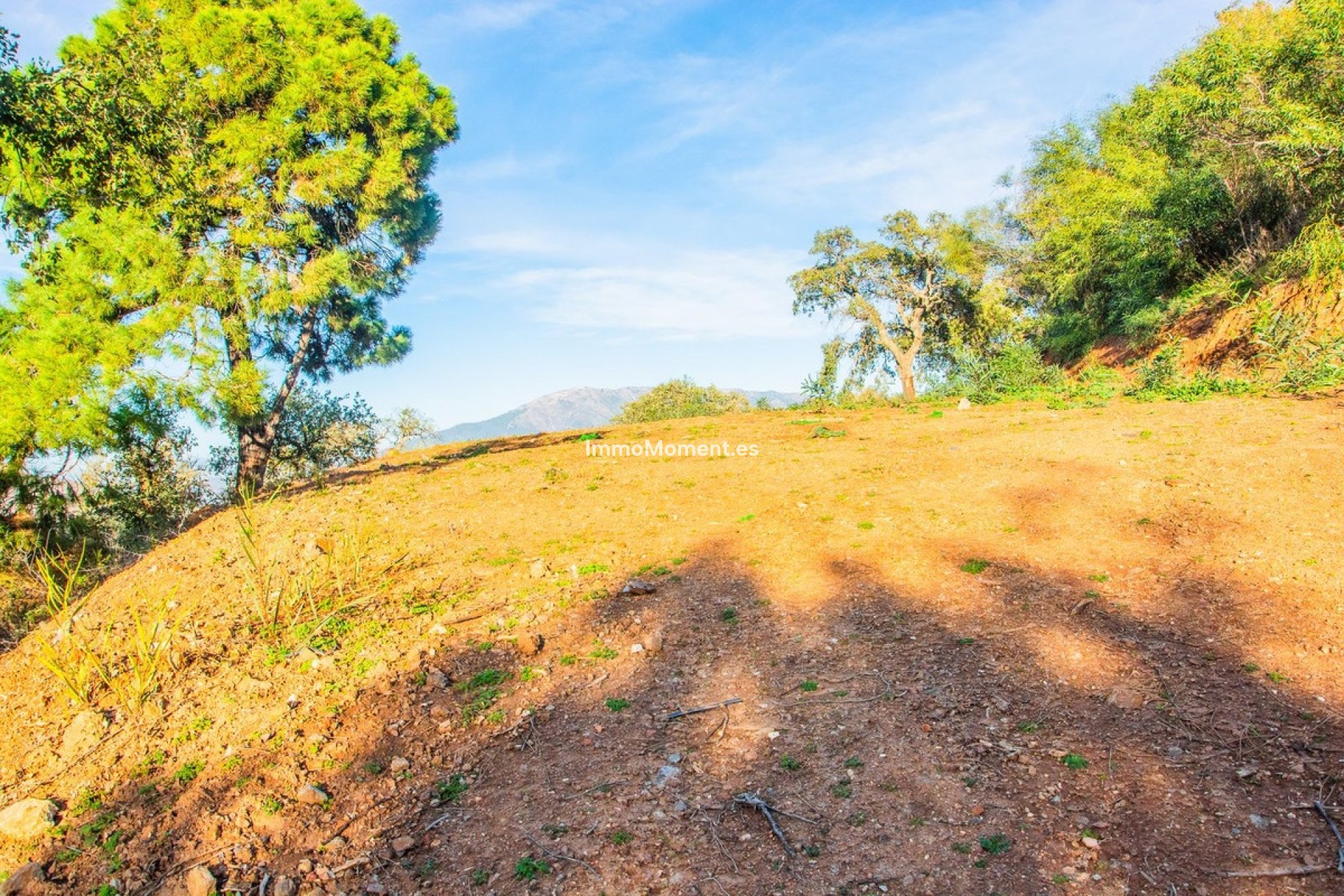 Construction neuve - Villa - Marbella - La Mairena