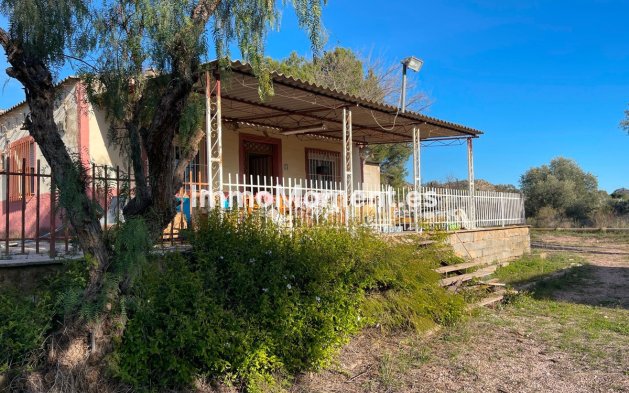 Country house - Revente - Aspe - Aspe Centro