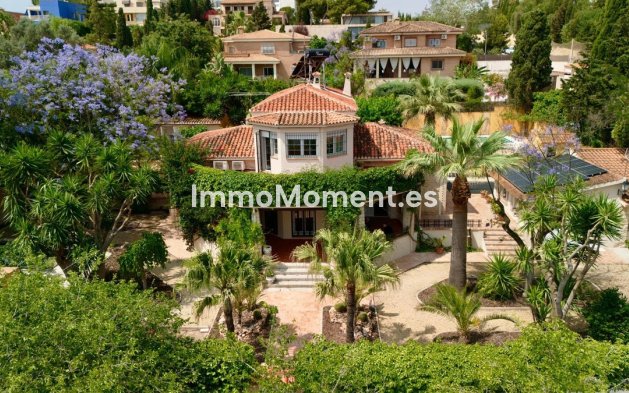 Detached villa - Resale - Alicante - Alicante Centro