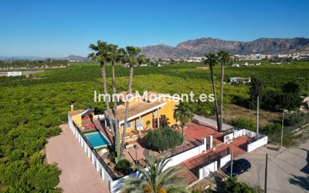 Detached villa - Resale - Orihuela - Orihuela Centro