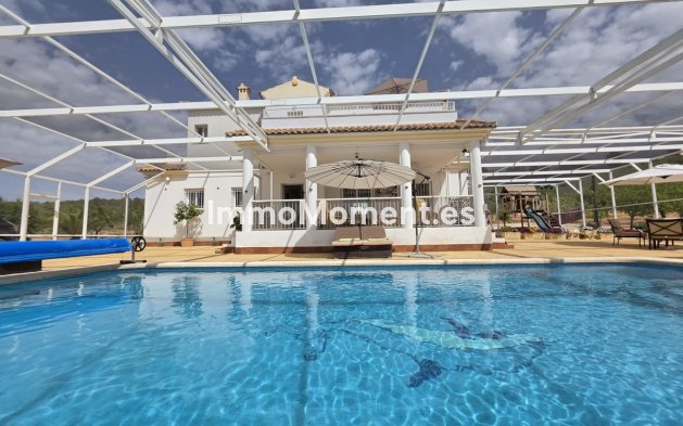 Detached villa - Resale - Pinoso - Lel