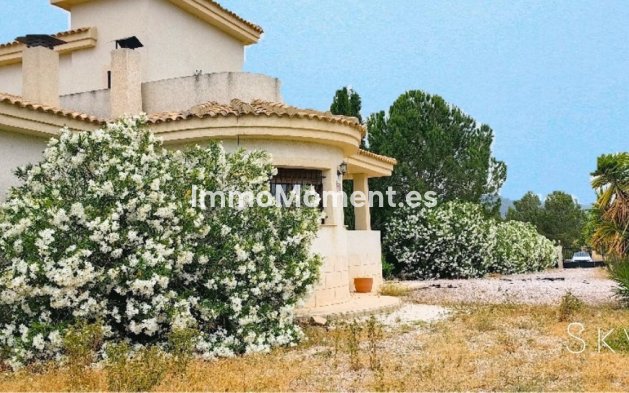 Freistehende Villa - Wiederverkauf - Pinoso - Pinoso Centro