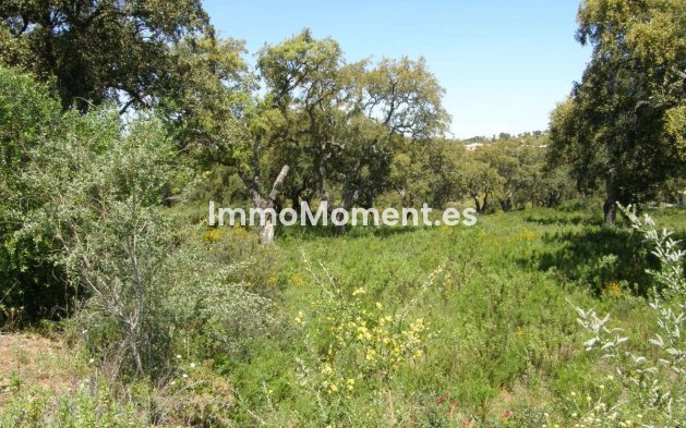 Grond - Bestaande woning - Sotogrande - RSO-48061