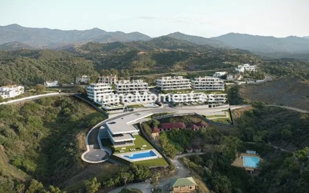 Ground-floor - New Build - Estepona - Estepona