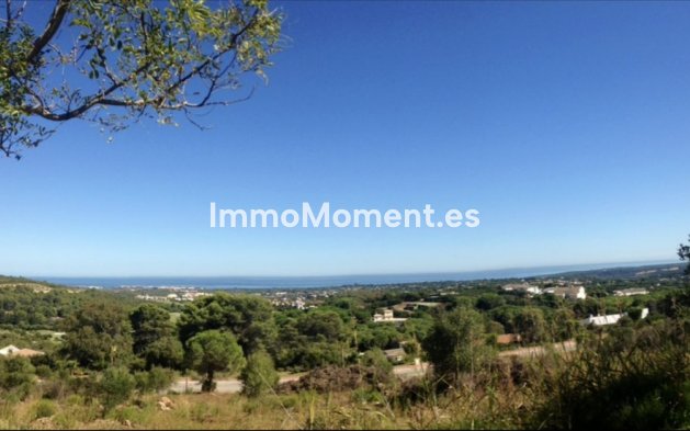 Grundstück - Wiederverkauf - Sotogrande - Sotogrande