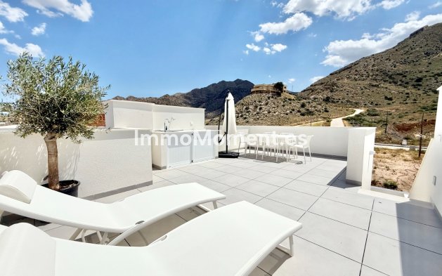 High-bungalow - Construction neuve - Cox - HBC-24163