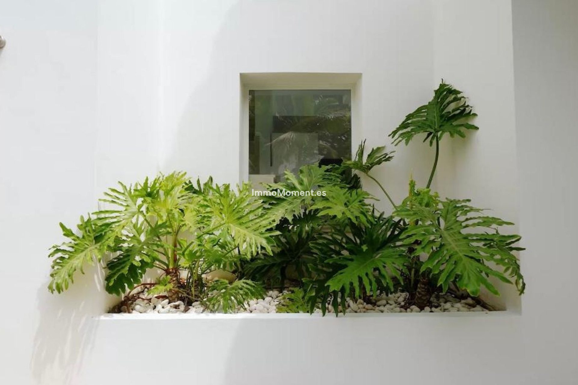 Kurzzeitvermietung - Freistehende Villa - Marbella - Guadalmina Alta