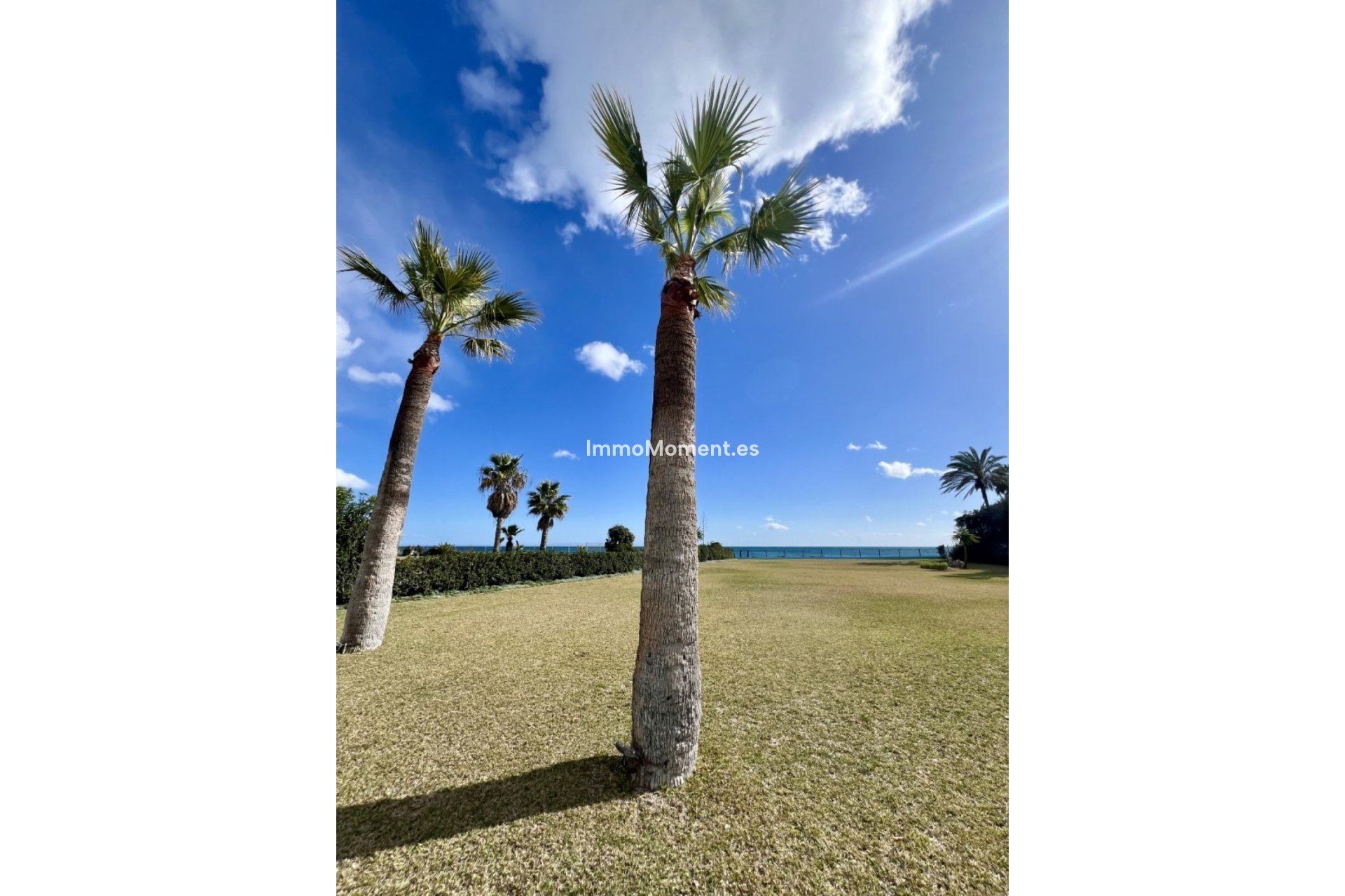 Kurzzeitvermietung - Freistehende Villa - Marbella - Guadalmina Baja
