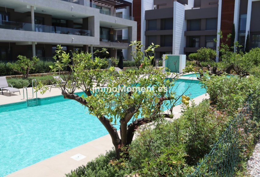 Kurzzeitvermietung - Penthouse - Estepona  - Cancelada