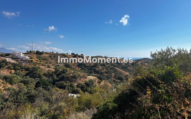 Land - Wiederverkauf - Estepona  - Estepona Centro