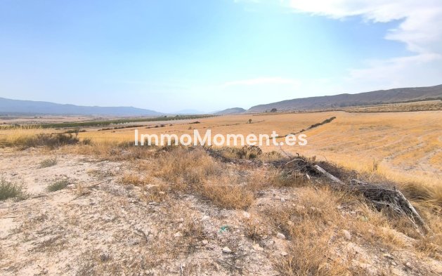 Landhuis - Bestaande woning - Jumilla - Jumilla Centro