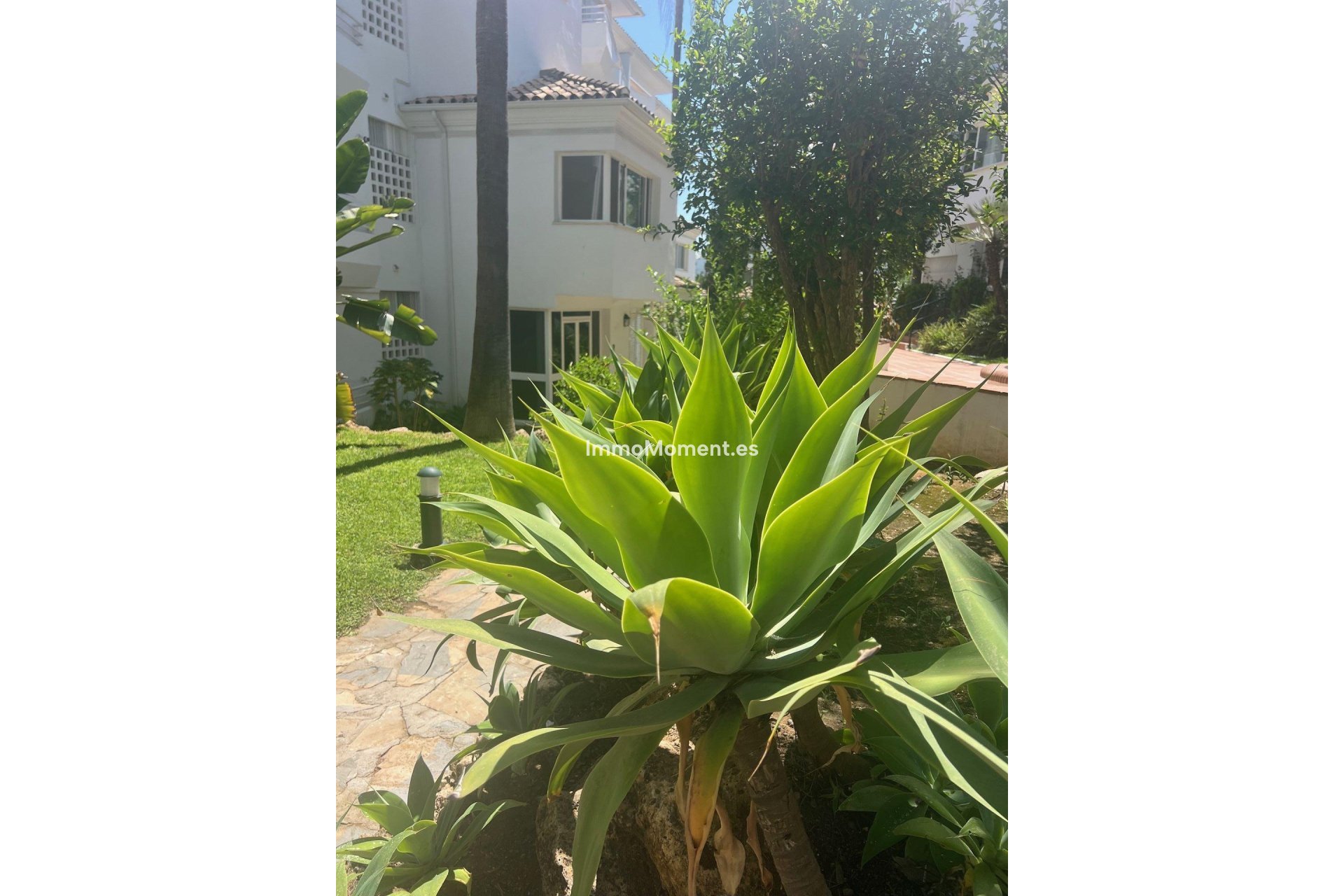 Lange termijn verhuur - Appartement - Marbella - Guadalmina Baja