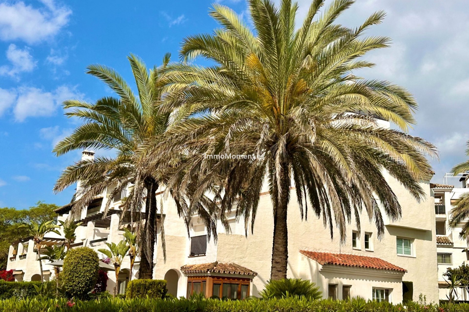 Lange termijn verhuur - Appartement - San Pedro de Alcántara