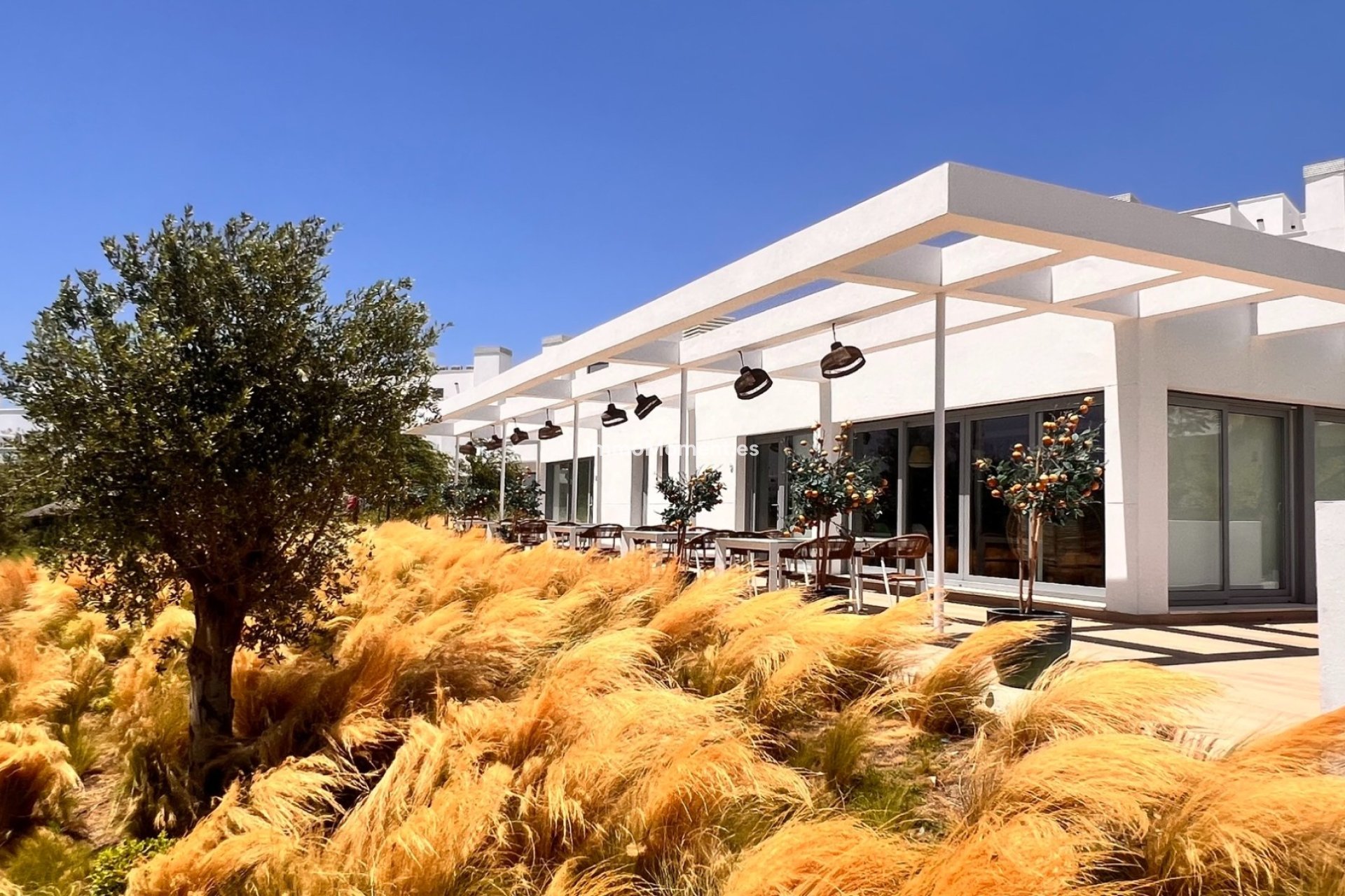 Langzeitvermietung - Wohnung - Estepona  - Cancelada