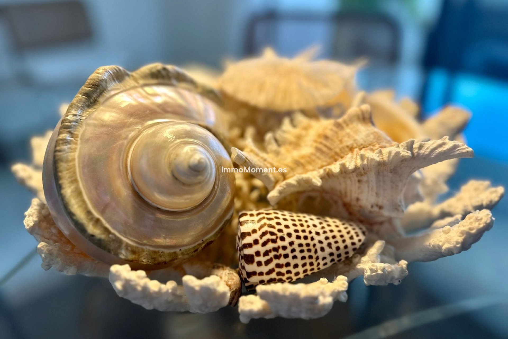 Langzeitvermietung - Wohnung - Marbella - Puerto Banús