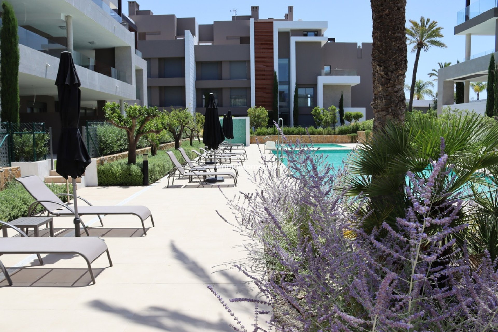 Location de courte durée - Penthouse - Estepona  - New Golden Mile