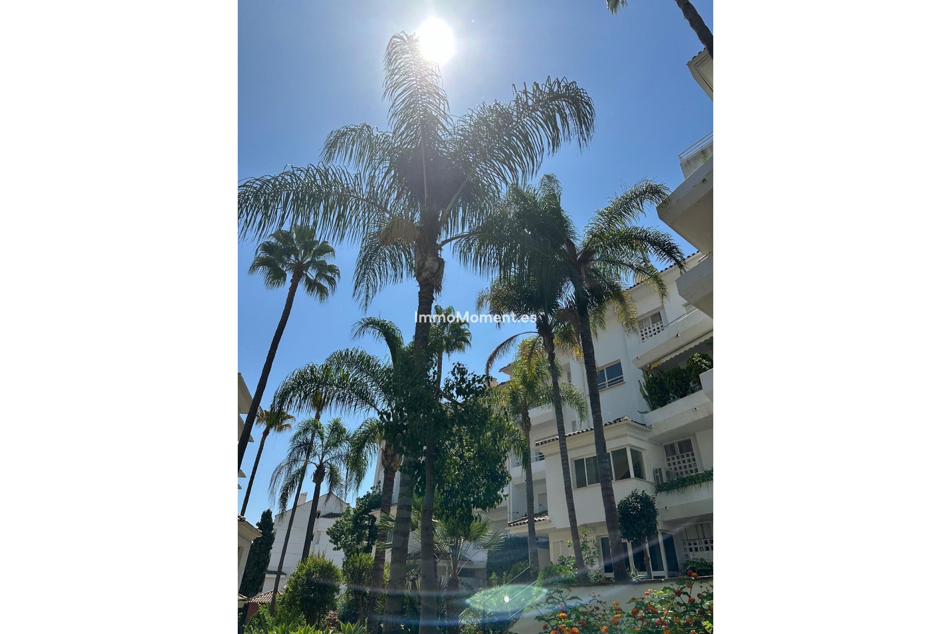 Location de longue durée - Appartement - Marbella - Guadalmina Baja