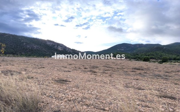 Maison de campagne - Revente - Yecla - Yecla Centro
