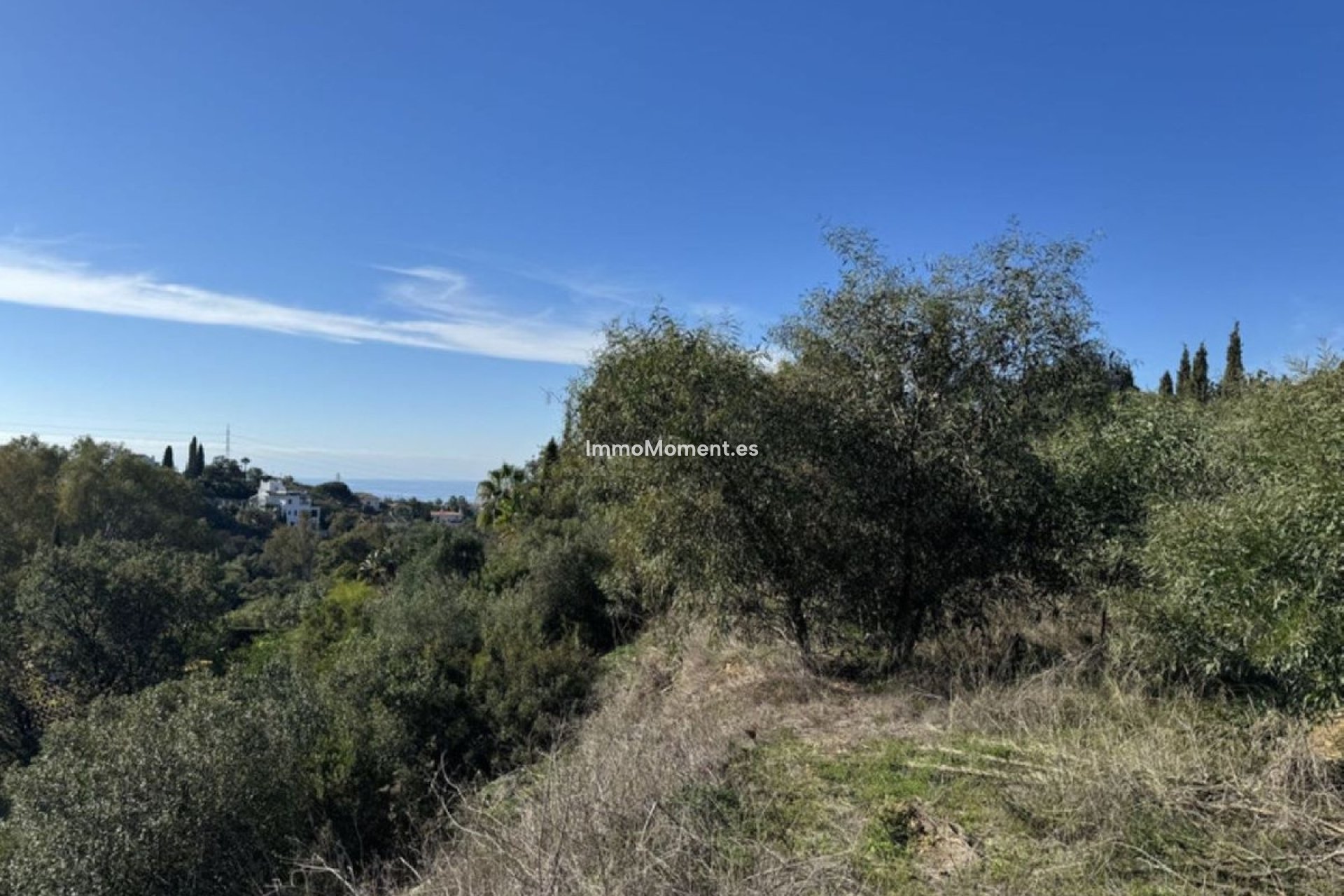 Neubau - Freistehende Villa - Marbella - Elviria