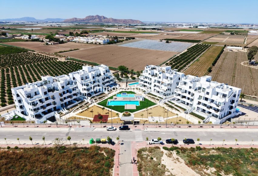 Neubau - Ground-floor - Santa Rosalía