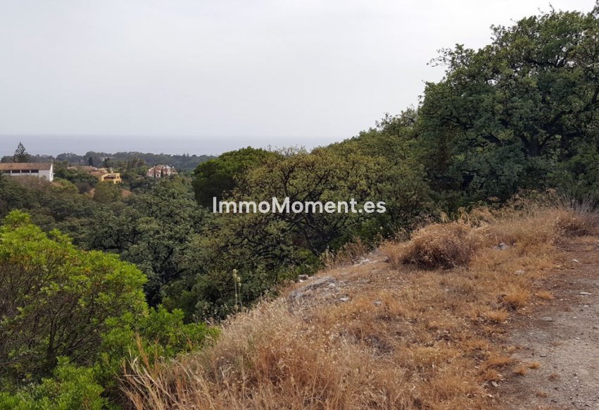 Neubau - Grundstück - Marbella - Elviria