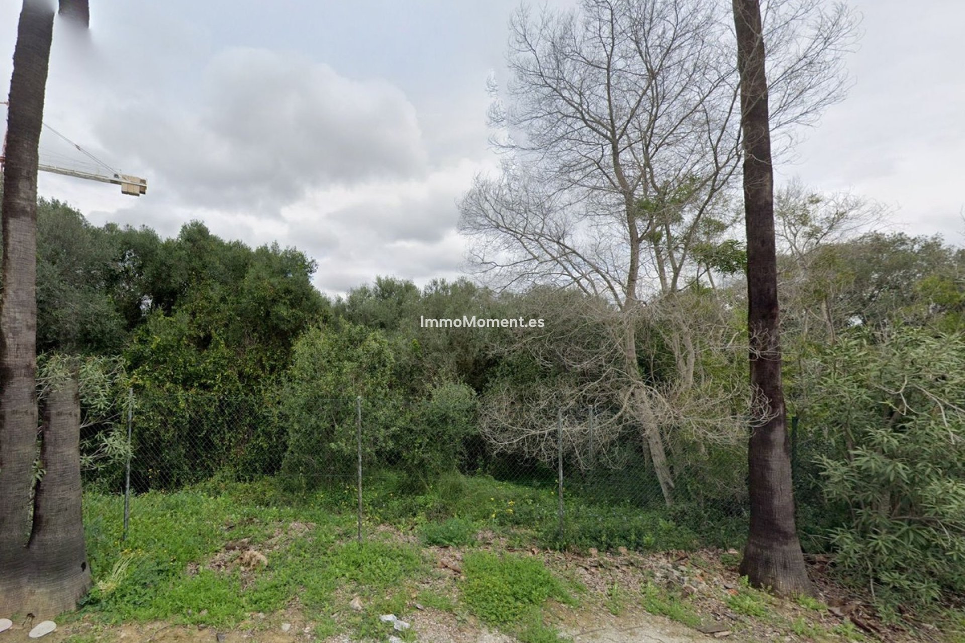 Neubau - Grundstück - Sotogrande - Sotogrande Alto