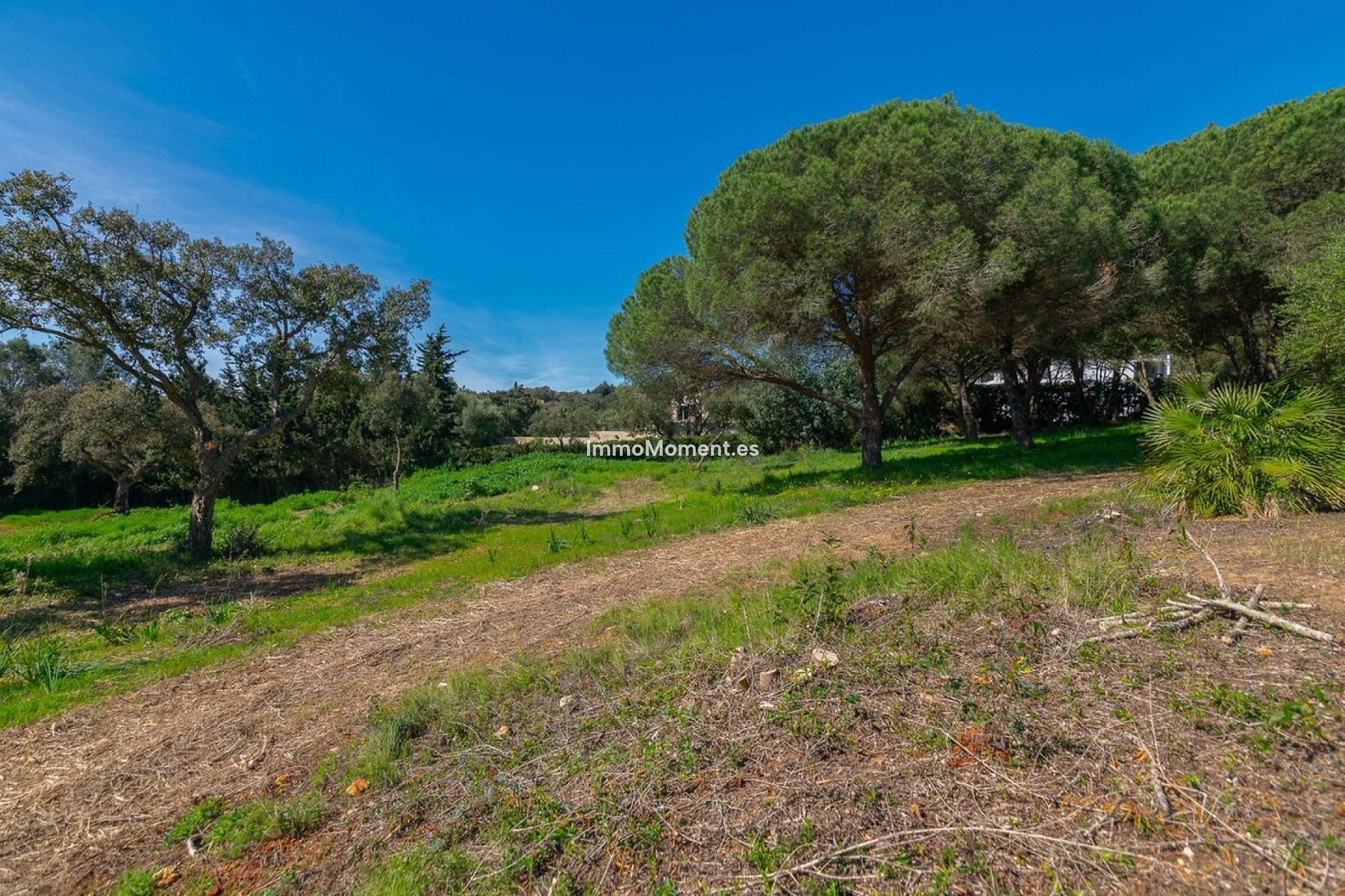 Neubau - Grundstück - Sotogrande - Sotogrande Alto