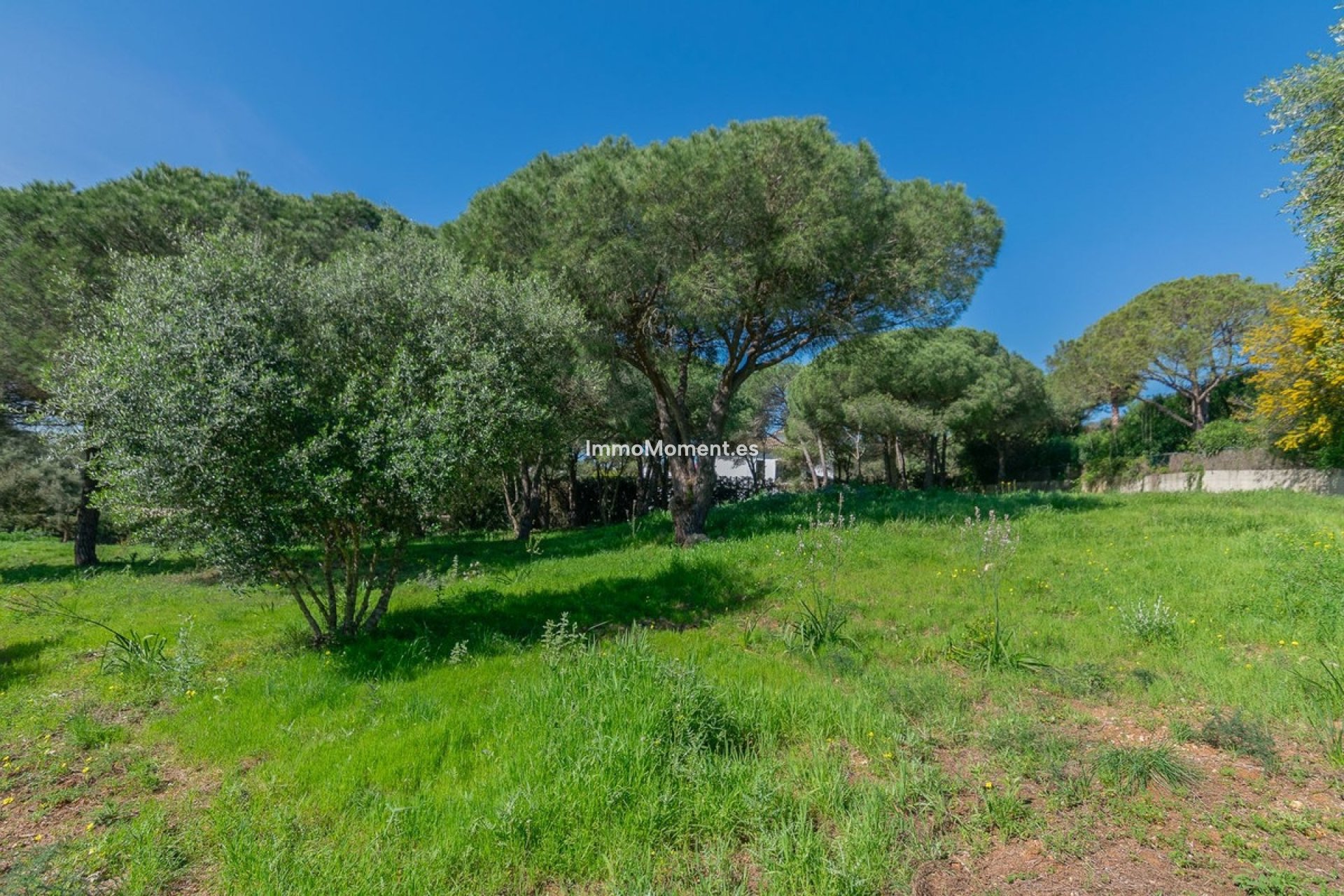 Neubau - Grundstück - Sotogrande - Sotogrande Alto