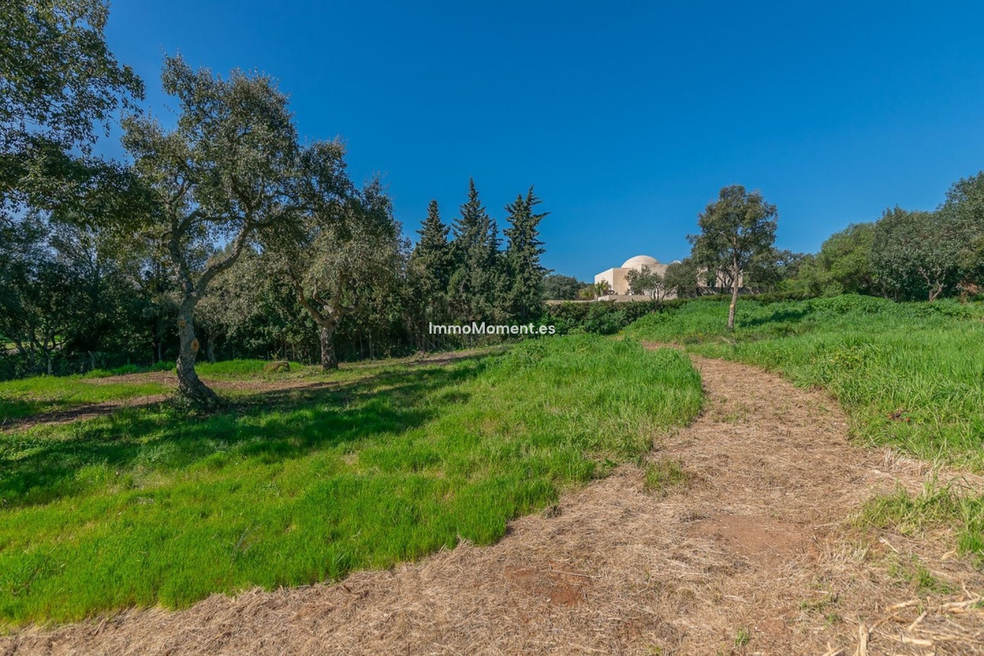 Neubau - Grundstück - Sotogrande - Sotogrande Alto