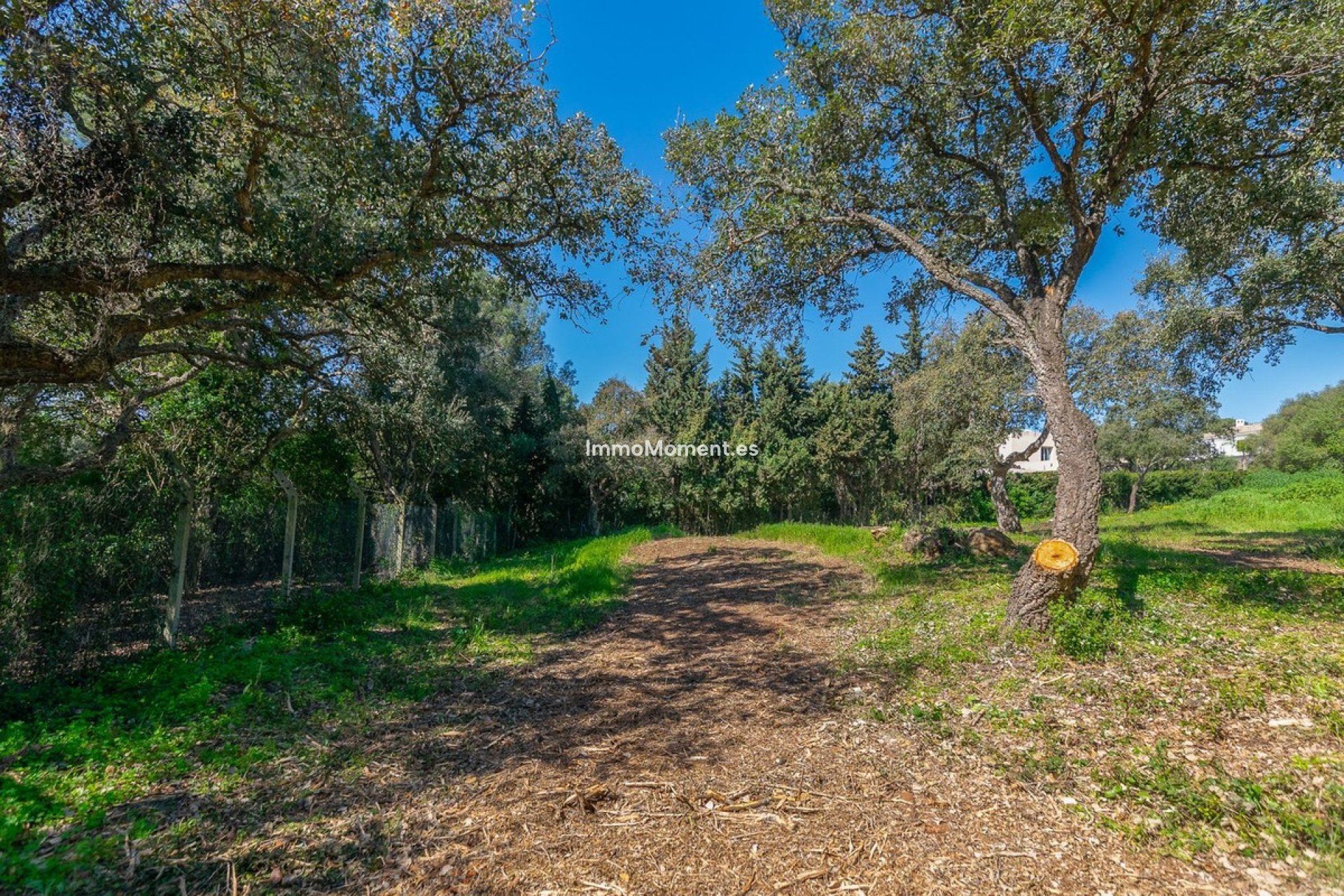 Neubau - Grundstück - Sotogrande - Sotogrande Alto