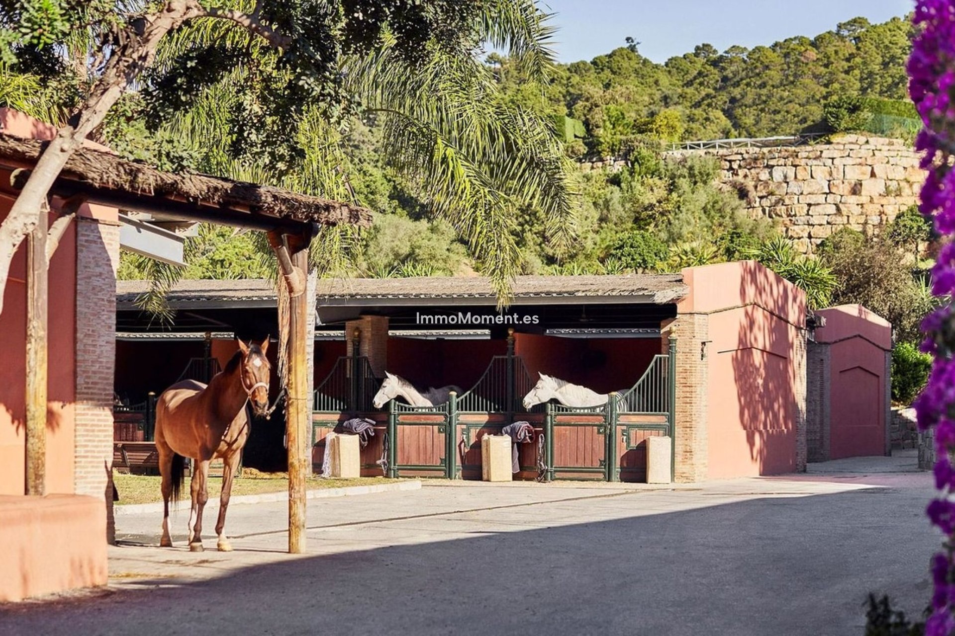 Neubau - Land - Benahavís - Benahavís Centro