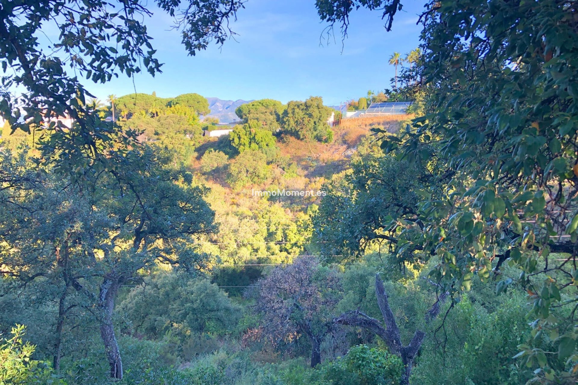 Neubau - Land - Marbella - Elviria