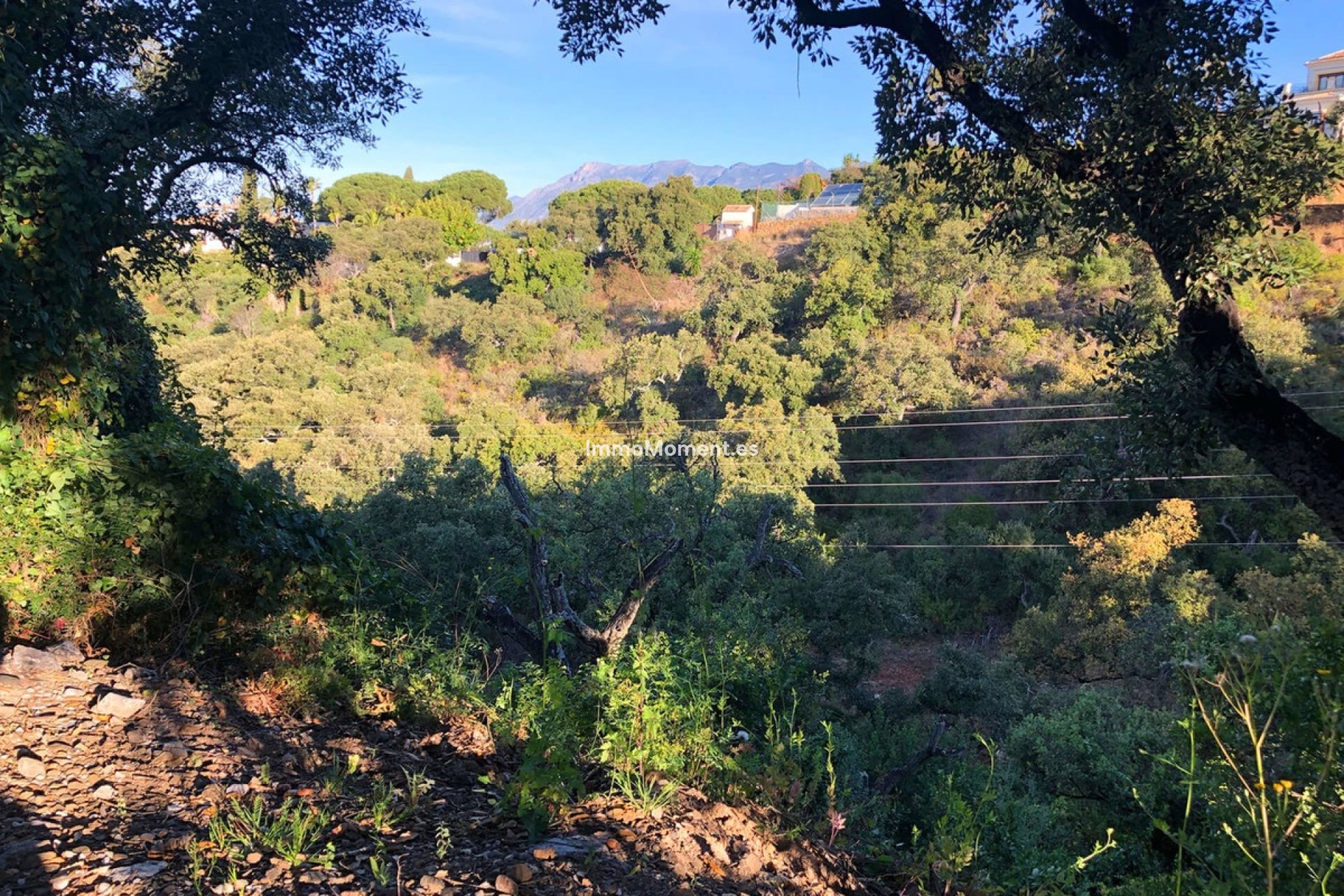 Neubau - Land - Marbella - Elviria