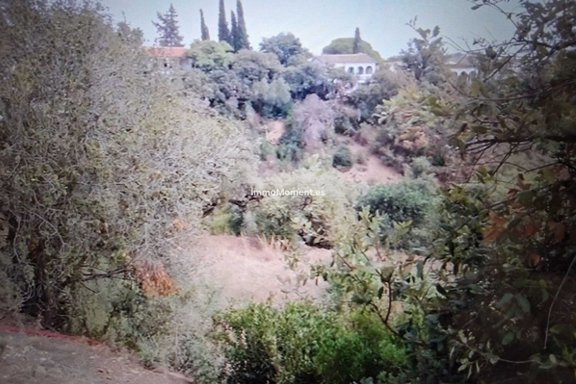 Neubau - Land - Marbella - Elviria