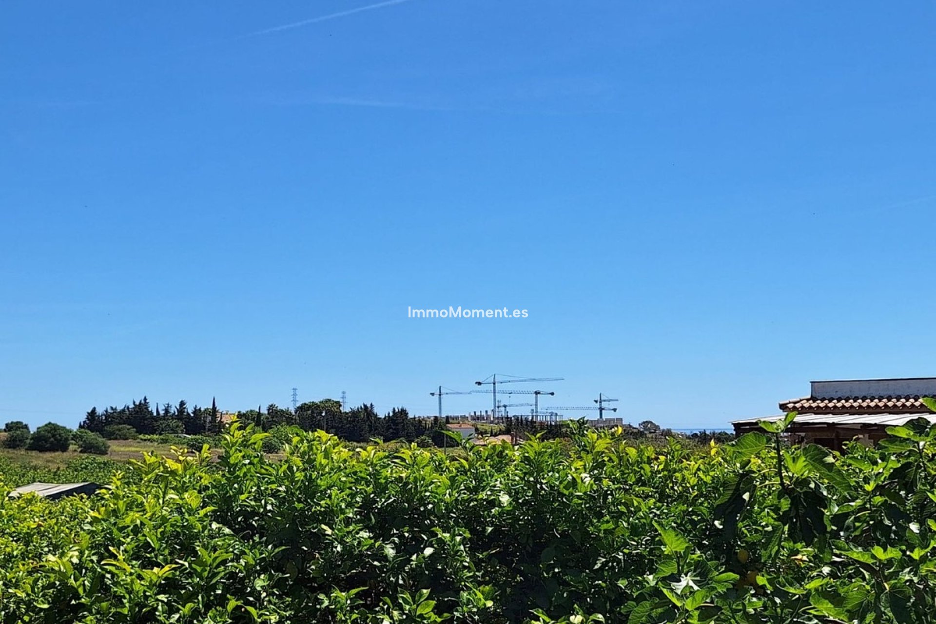 Neubau - Landhaus - Estepona  - Estepona Centro