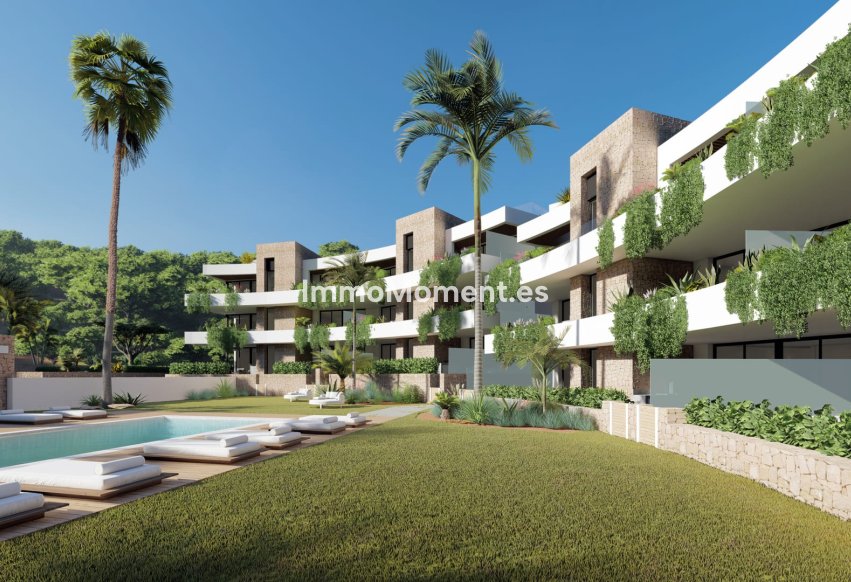 Neubau - Penthouse - Cartagena