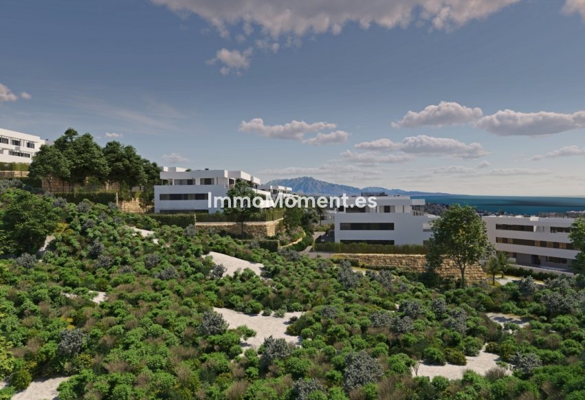 Neubau - Penthouse - Casares