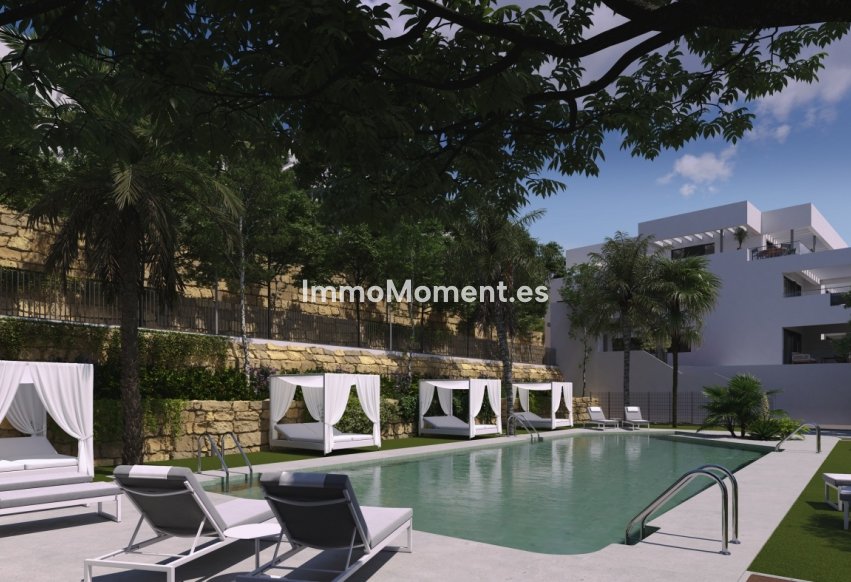 Neubau - Wohnung - Casares - Casares Centro