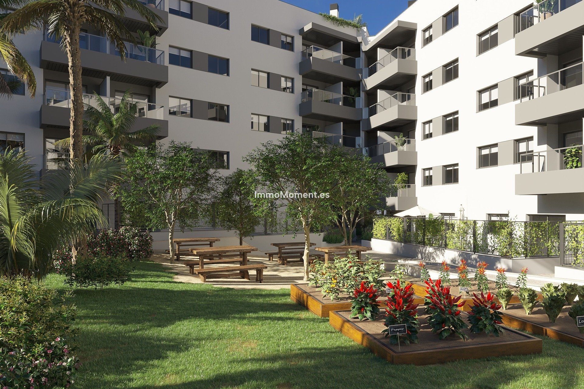 Neubau - Wohnung - Fuengirola