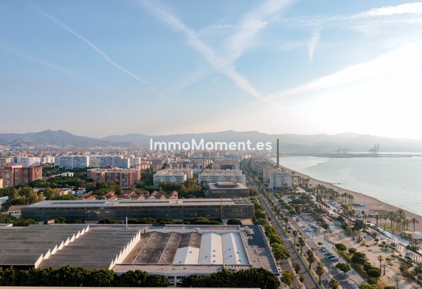 Neubau - Wohnung - Málaga